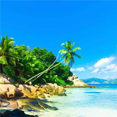 天使之魂手游官方版(暂未上线)v1.3.0 安卓版