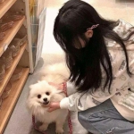 忘川风华录网易版下载